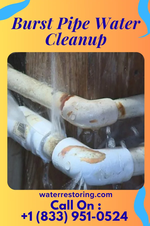 Burst Pipe Water Cleanup in Springdale, NJ
