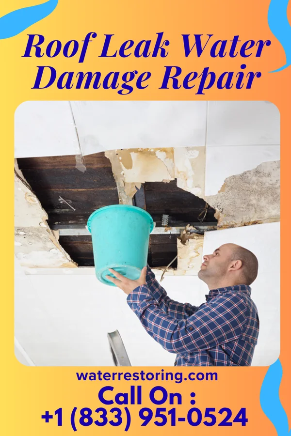 Roof Leak Water Damage Repair in Springdale, NJ