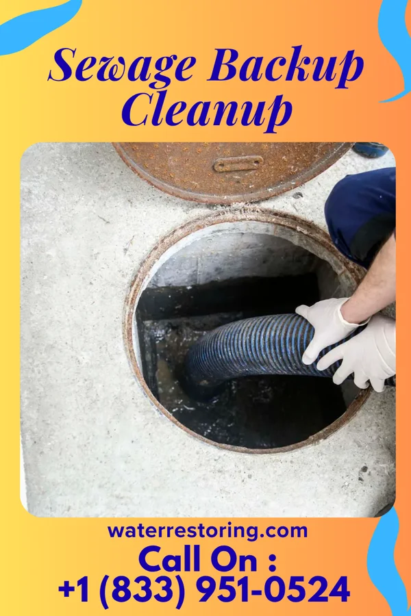 Sewage Backup Cleanup in Springdale, NJ