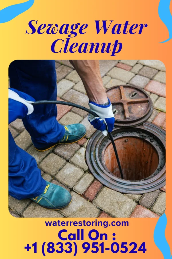 Sewage Water Cleanup in Springdale, NJ