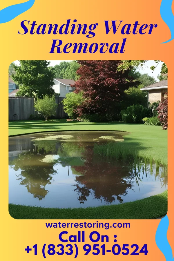 Standing Water Removal in Springdale, NJ
